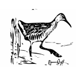 King rail in the marshland vector clip art